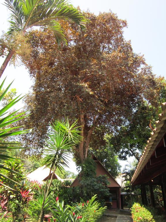 Hotel El Paraiso Escondido - Costa Rica Jacó Zimmer foto